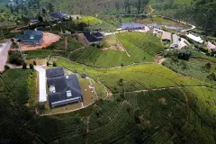 IMG-0432-1